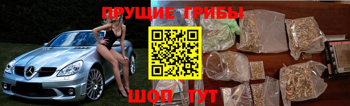 APVP Лабинск